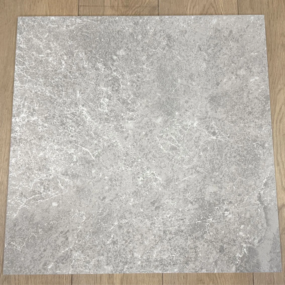 NPT Dark Beige Matt 600x600 600x600x9mm tile NZ
