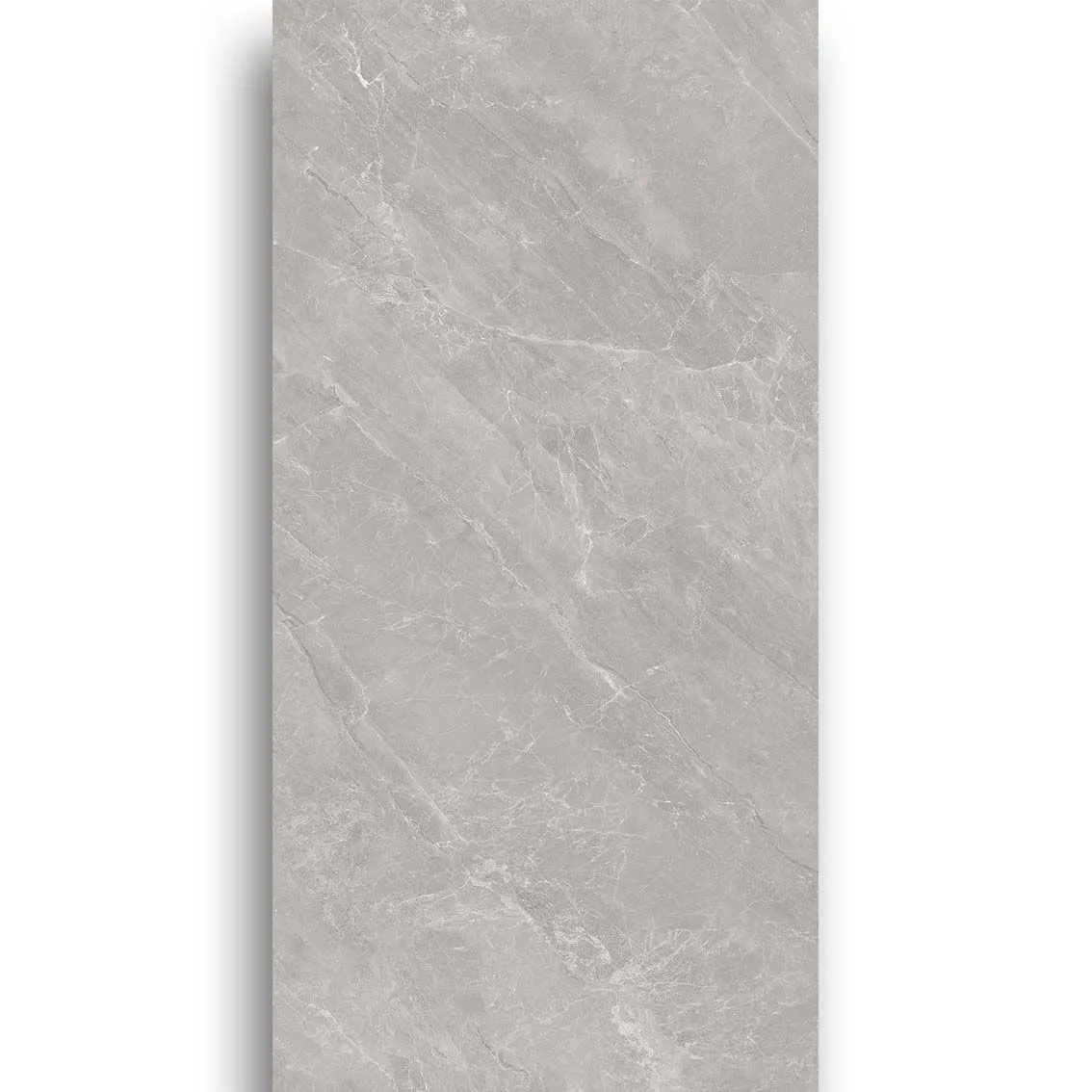 Venus Light Grey 600x1200 600x1200x10mm tile NZ