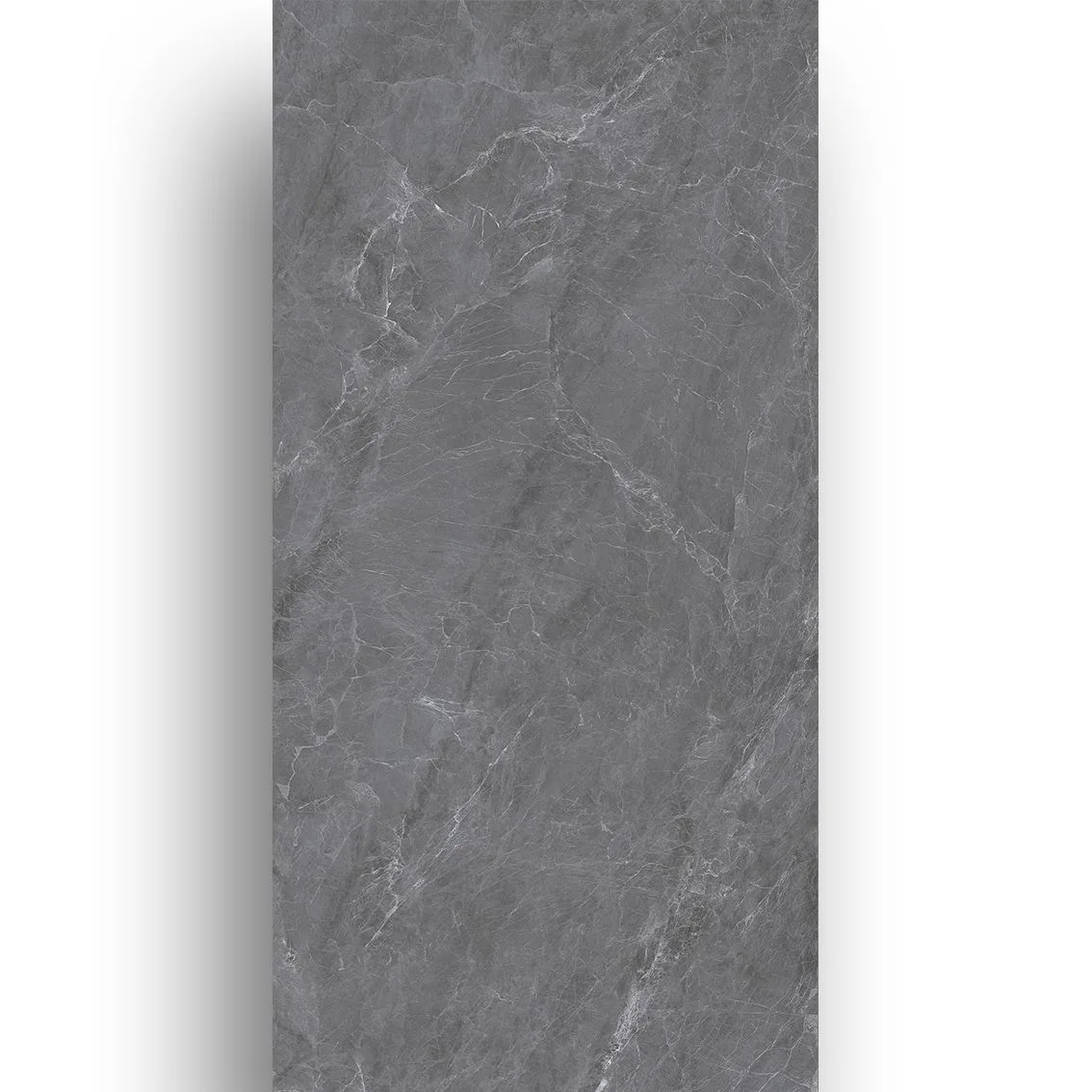 Master Grey 600x1200 600x1200x10mm tile NZ — image 1