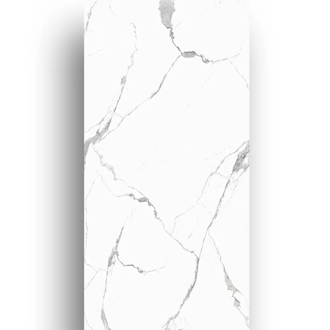 Eliza white 600x1200 600x1200x10mm tile NZ — image 2