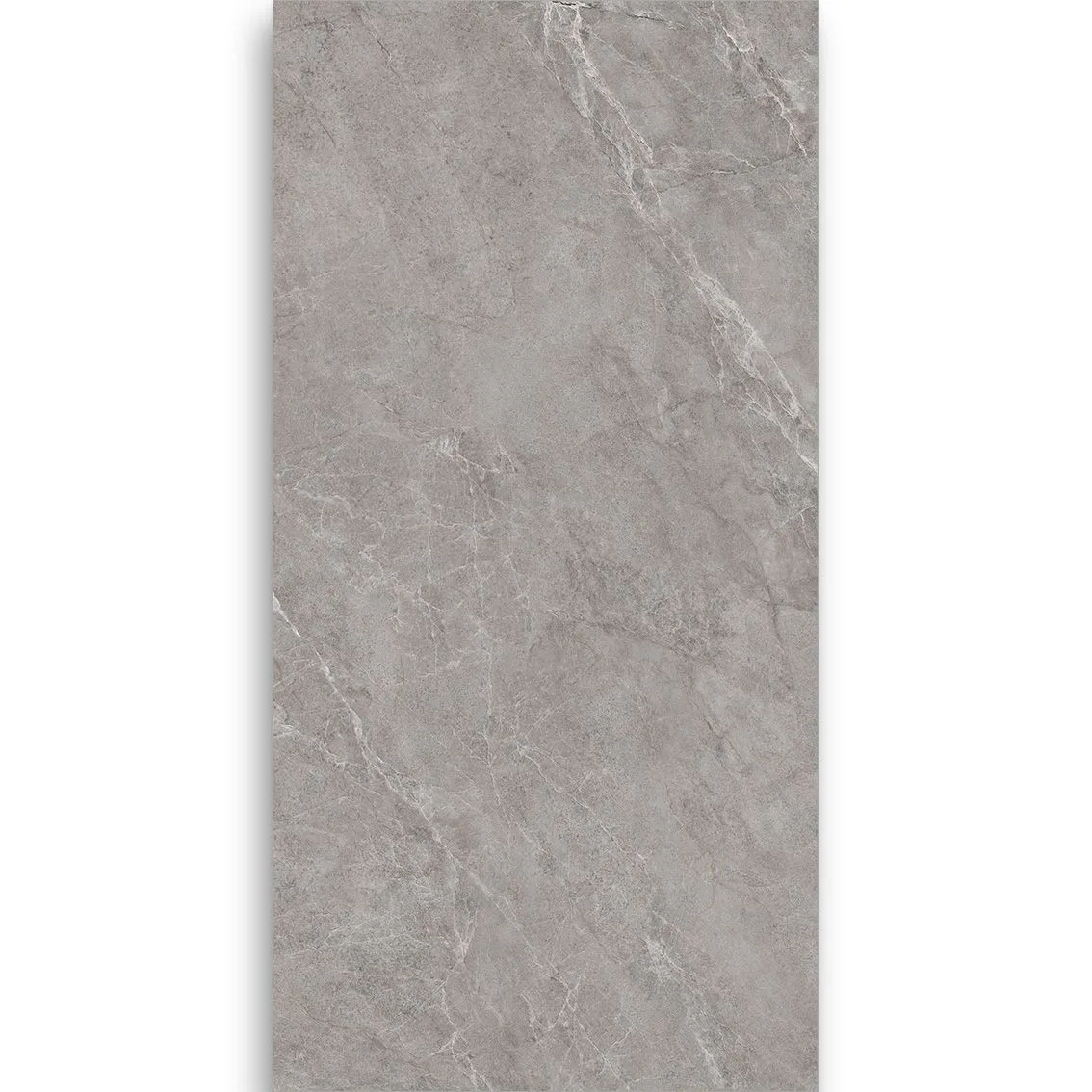 Venus Grey 600x1200 600x1200x10mm tile NZ