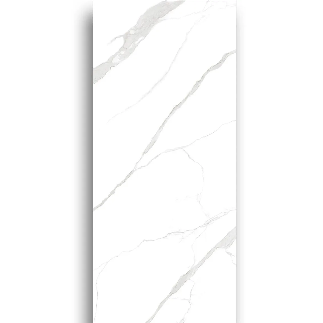 Carrara White Honed 1200x2700x6mm tile NZ — image 2