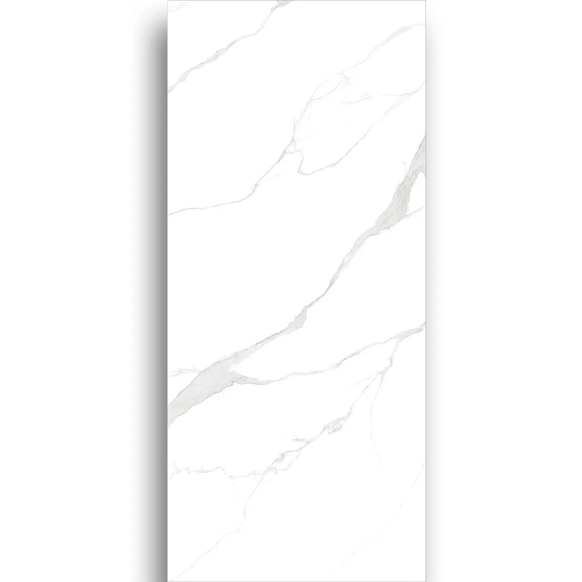 Carrara White Honed 1200x2700x6mm tile NZ — image 3
