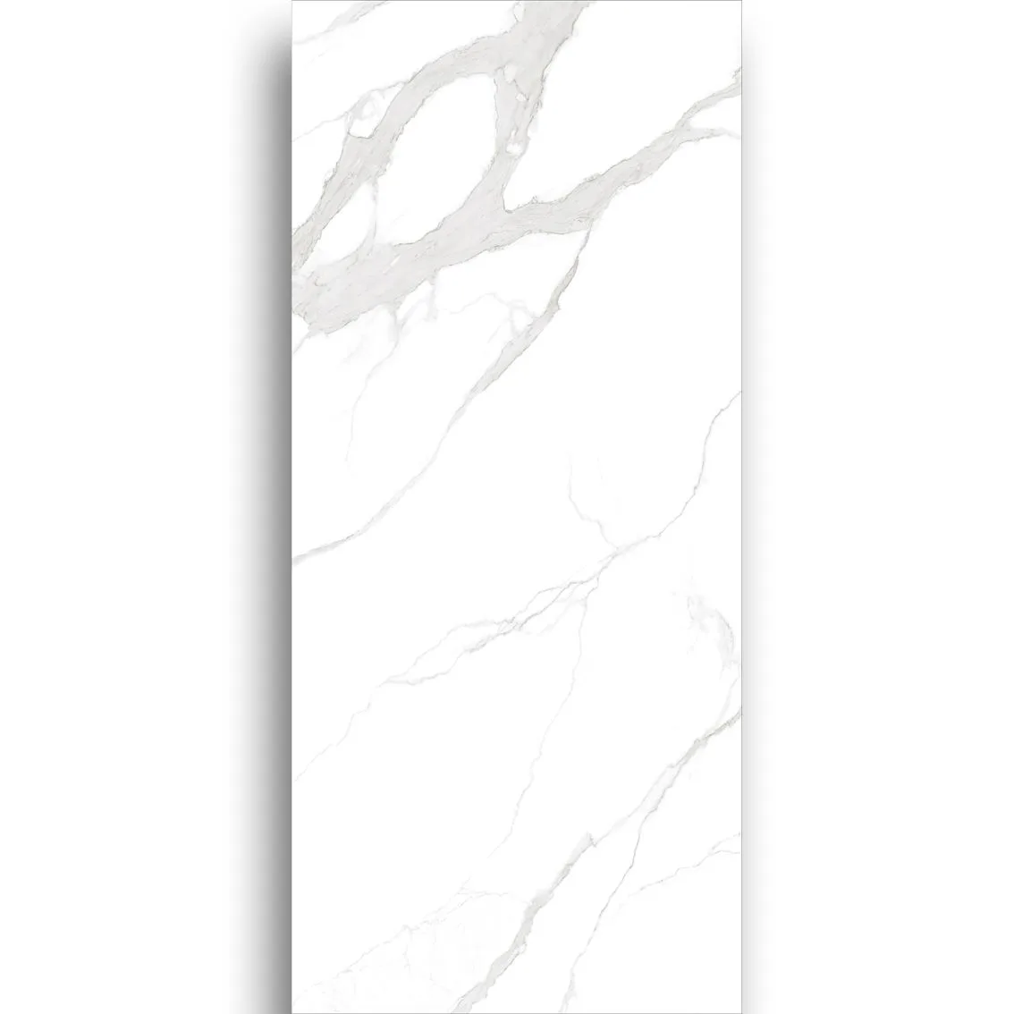 Carrara White Honed 1200x2700x6mm tile NZ — image 4