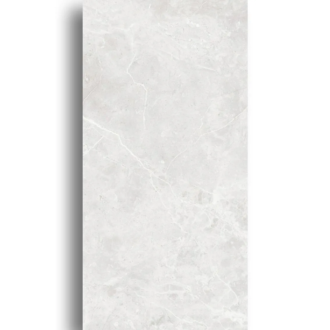 Venus Light Grey 400x800 400x800x10mm tile NZ