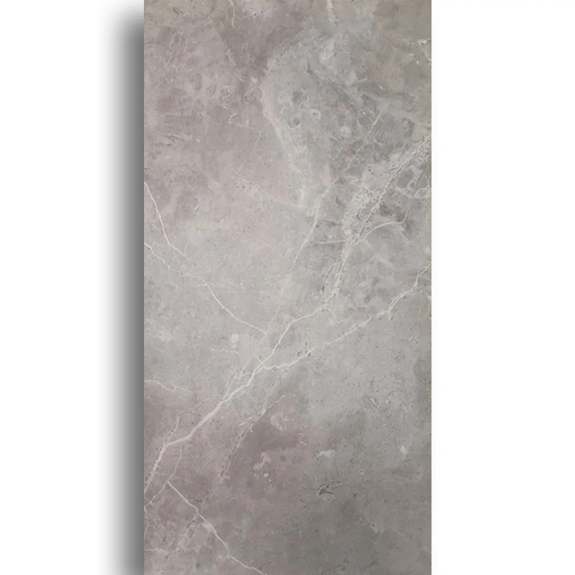 Venus Dark Grey 400x800 400x800x10mm tile NZ