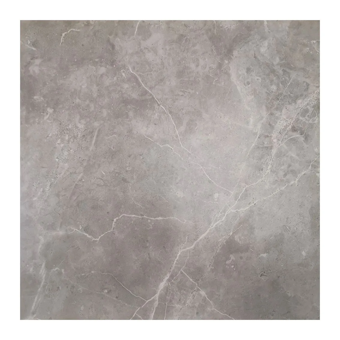 Venus Dark Grey 400x800 400x800x10mm tile NZ — image 2